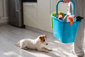 Clean Home, Happy Pets: Your Guide to Pet Safe Products: - Pets Essentials