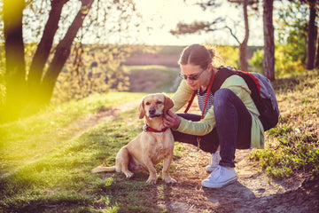 Protect Your Furry Friends: Heartworm and Flea & Tick Awareness for Your Pets