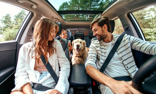 Kick off to Summer - Travelling with Pets: Tips for a Smooth and Stress-Free Journey