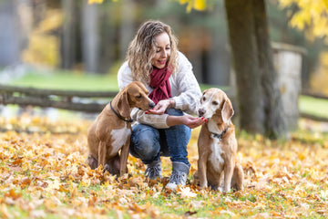 Autumn Flavors for Pets: Safe and Healthy Fall-Themed Ingredients