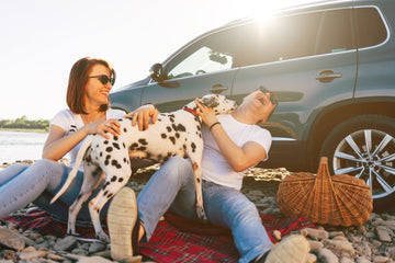 Adventure Awaits: Summer Outdoor Essentials for You and Your Pet - Pets Essentials
