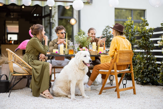 Calm Amid the Chaos: How to Keep Your Pet Relaxed During Celebrations - Pets Essentials