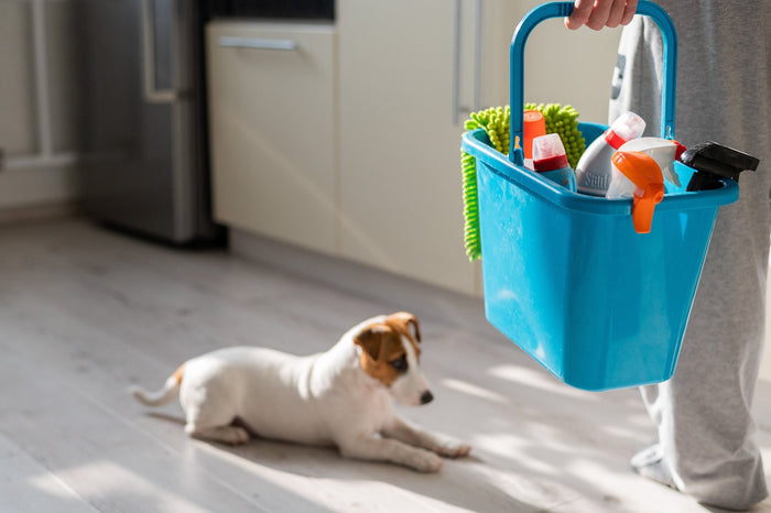 Fresh Look at Clean Home Happy Pets Your Guide To Pet Safe Products