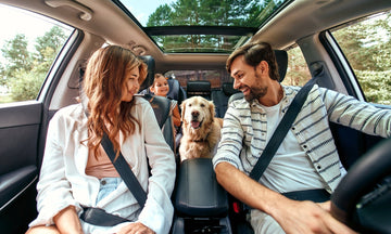 Kick off to Summer - Travelling with Pets: Tips for a Smooth and Stress-Free Journey - Pets Essentials