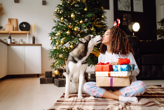 The 12 Days of Petsmas – Festive Fun for You and Your Pet - Pets Essentials