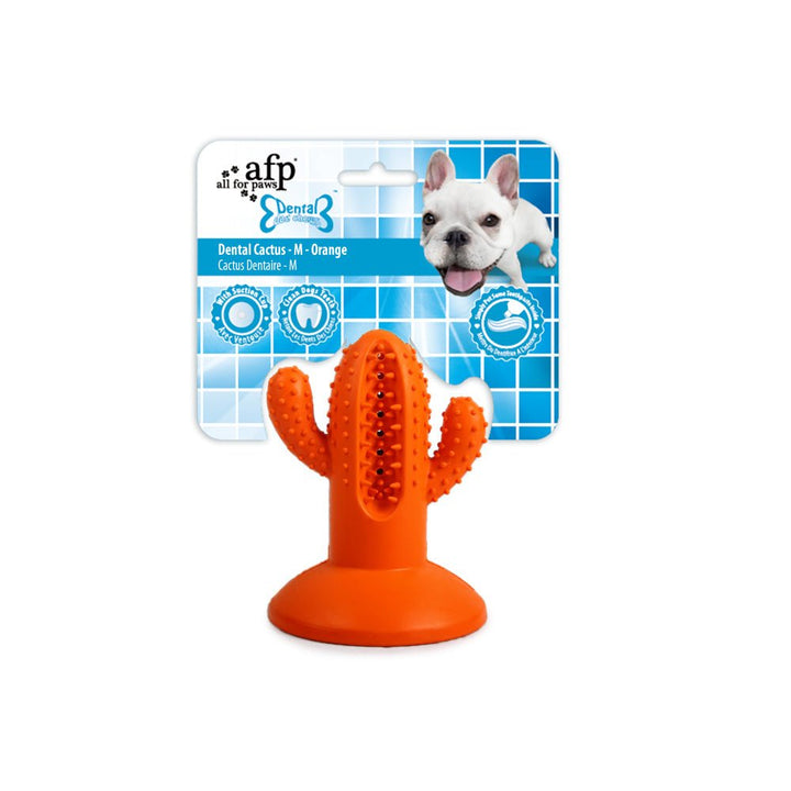 All For Paws Dental Chew Cactus - Pets Essentials
