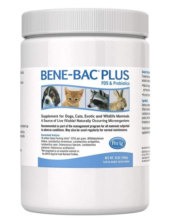 Bene - Bac Plus Powder - Pets Essentials