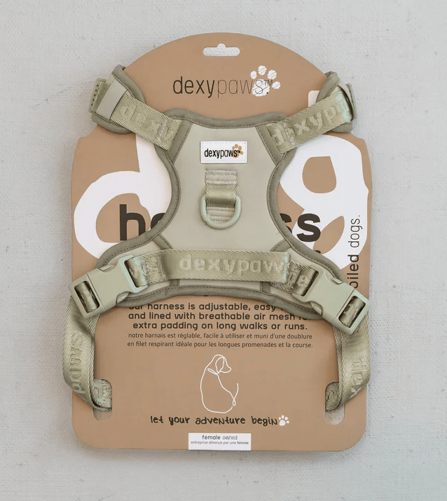Dexy Paws No-Pull Dog Harness - Pets Essentials