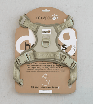 Dexy Paws No-Pull Dog Harness - Pets Essentials