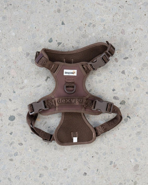 Dexy Paws No-Pull Dog Harness - Pets Essentials
