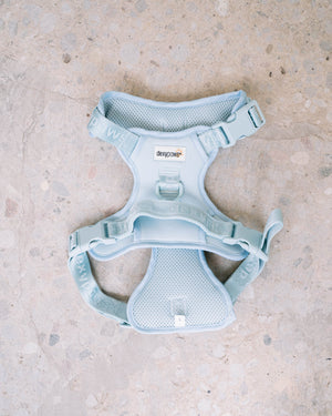 Dexy Paws No-Pull Dog Harness - Pets Essentials