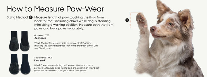 Goo - eez Dog Booties - Lites - Pets Essentials