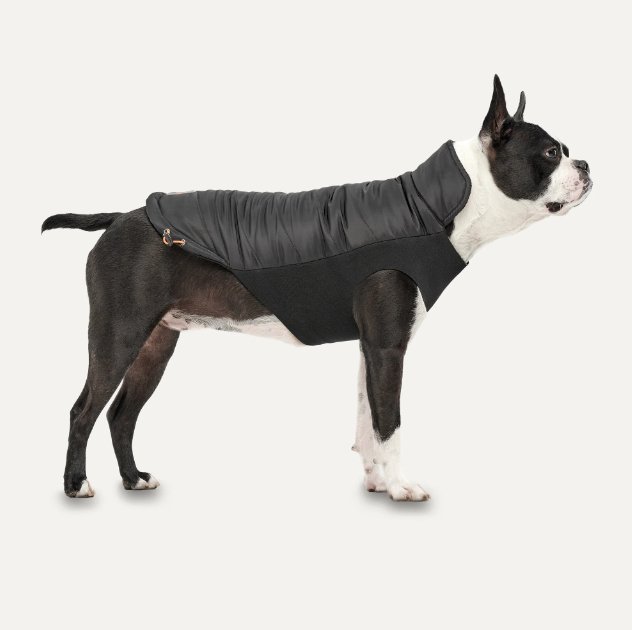 Goo - eez Mock Neck Jacket - Pets Essentials