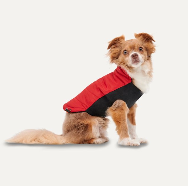 Goo - eez Mock Neck Jacket - Pets Essentials