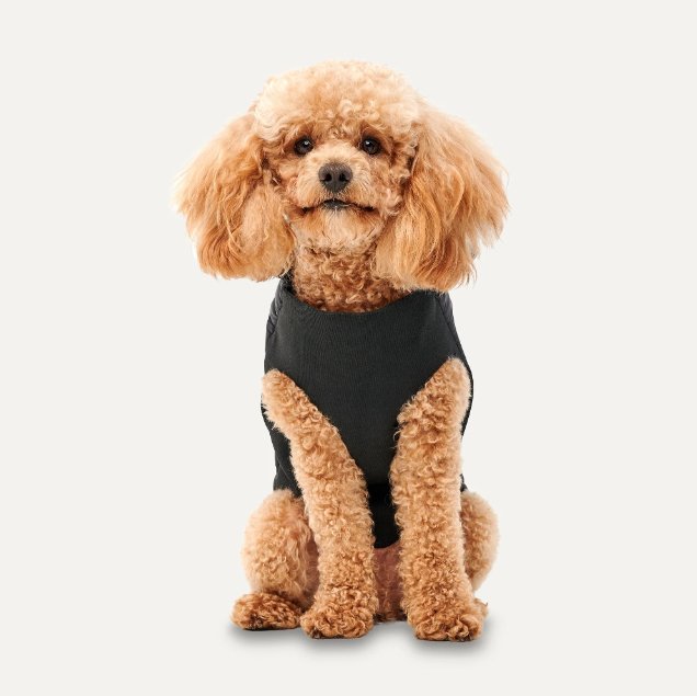 Goo - eez Mock Neck Jacket - Pets Essentials