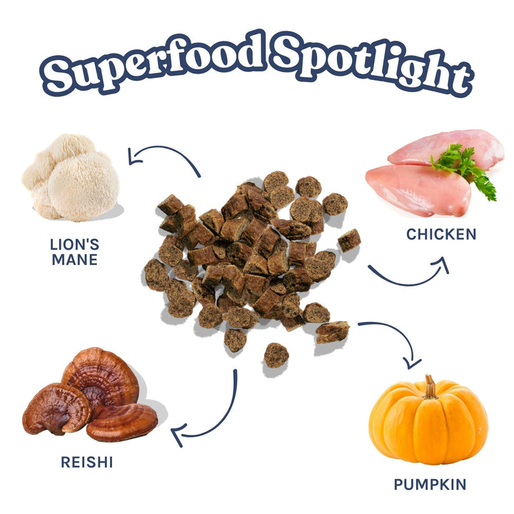 healthybud Mini Training Treat - Chicken - Pets Essentials