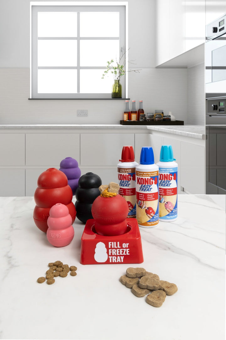 KONG Fill or Freeze Tray - Pets Essentials