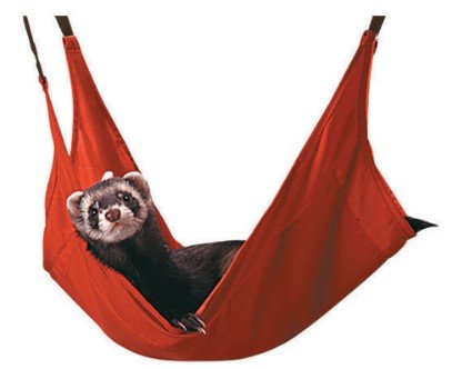 Marshall Pet Ferret Lounger - Pets Essentials