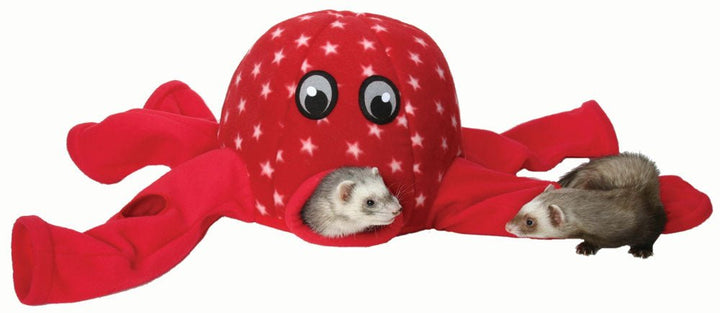 Marshall Pet Octo - Play - Pets Essentials