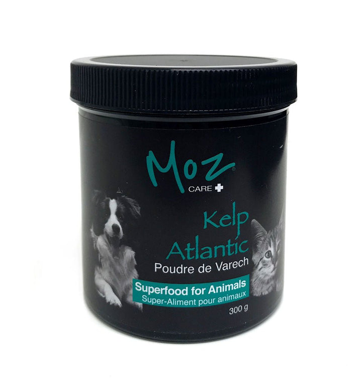 Moz Care Atlantic Sea Kelp Powder - Pets Essentials