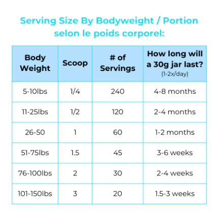 Myco Pet Gut & Immunity + - Pets Essentials