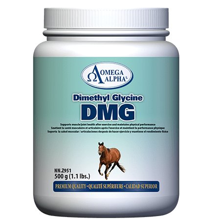 Omega Alpha Dimethyl Glycine (DMG) - Pets Essentials