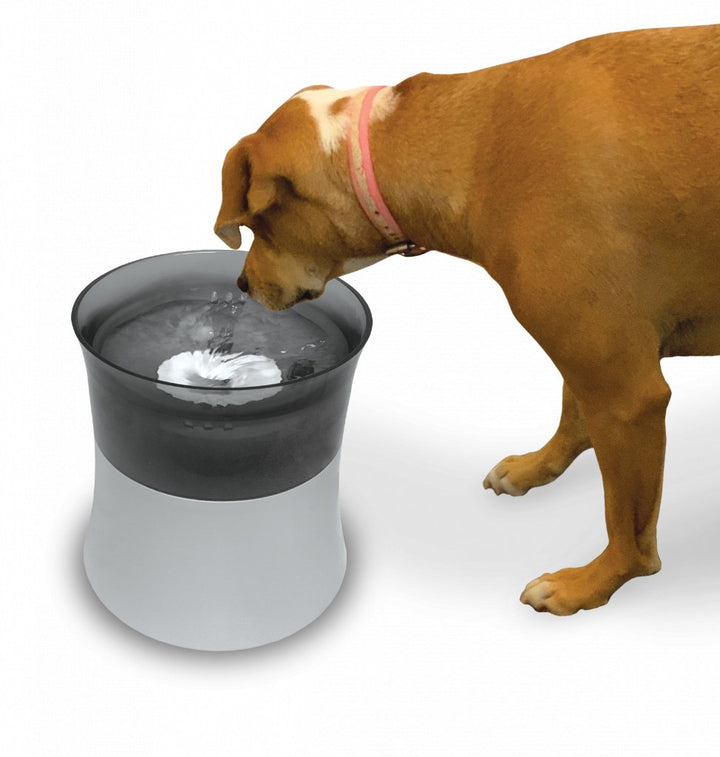 PIONEER Elevated Vortex Drinking Fountain - Pets Essentials