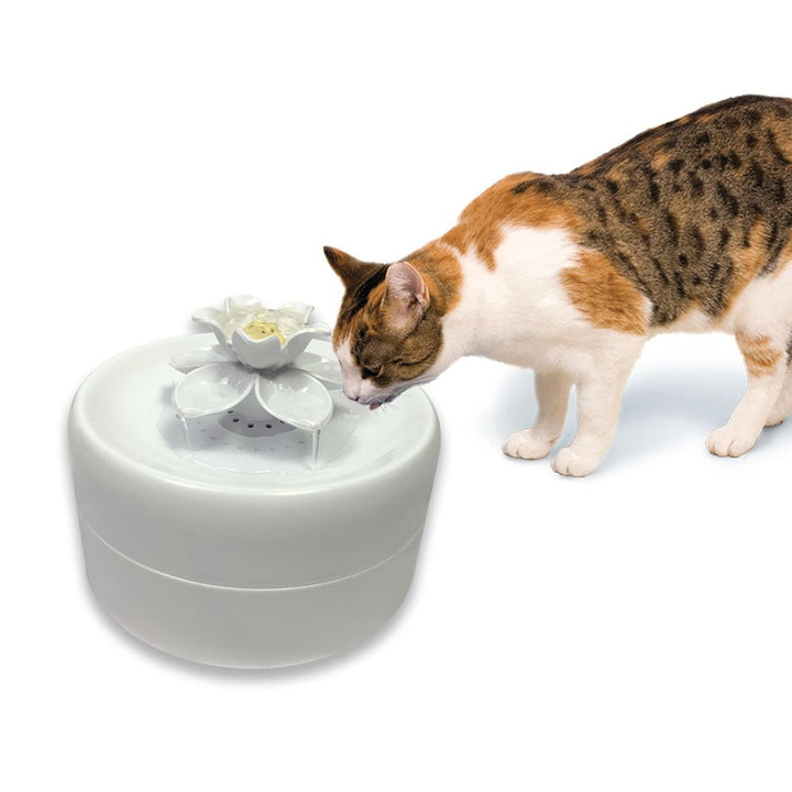 PIONEER Magnolia Fountain - Pets Essentials