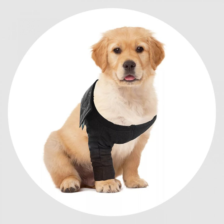 Suitical Recovery Sleeve - Dog - Pets Essentials