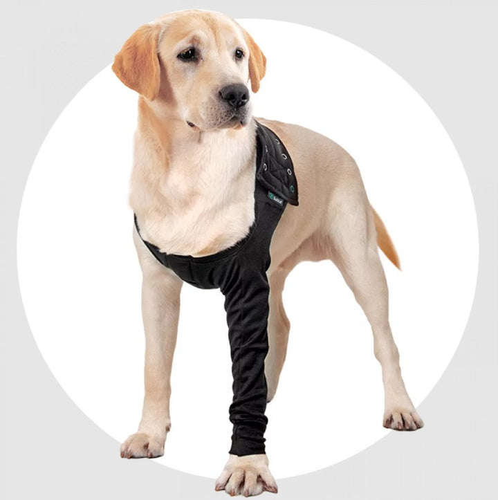 Suitical Recovery Sleeve - Dog - Pets Essentials