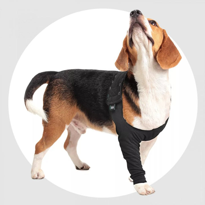 Suitical Recovery Sleeve - Dog - Pets Essentials