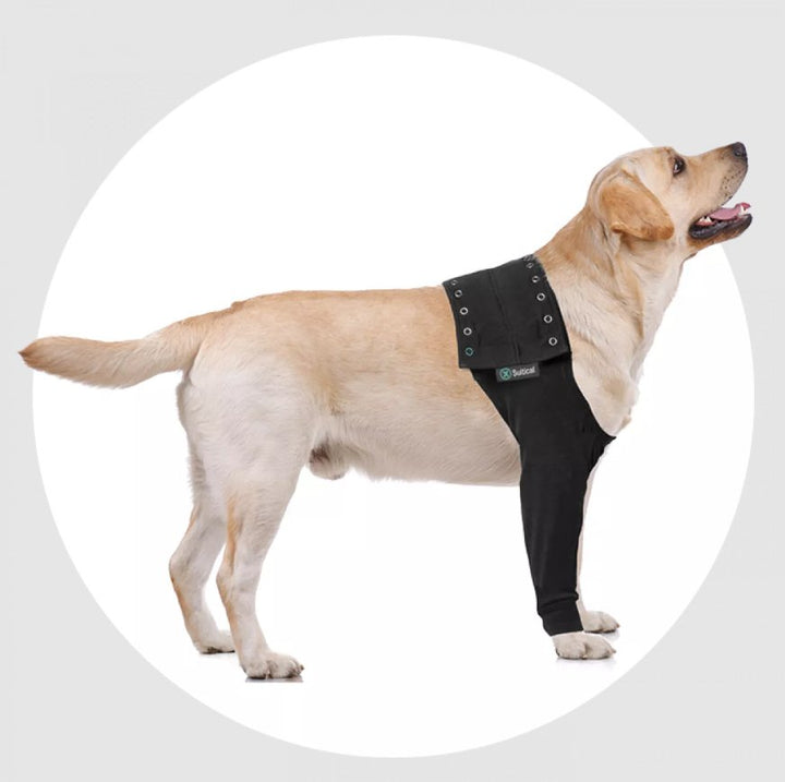 Suitical Recovery Sleeve - Dog - Pets Essentials