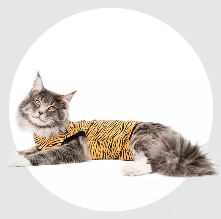 Suitical Recovery Suit - Cat - Pets Essentials