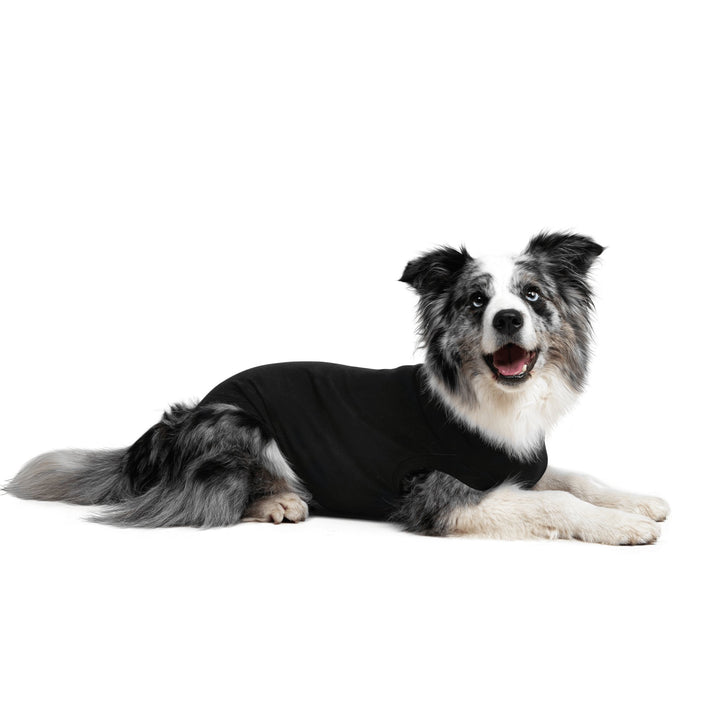 Suitical Recovery Suit - Dog - Pets Essentials