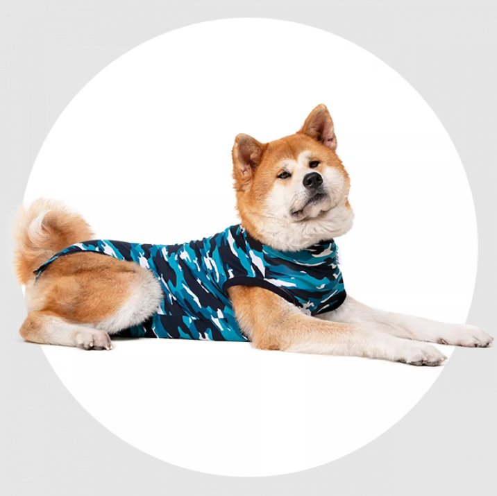 Suitical Recovery Suit - Dog - Pets Essentials