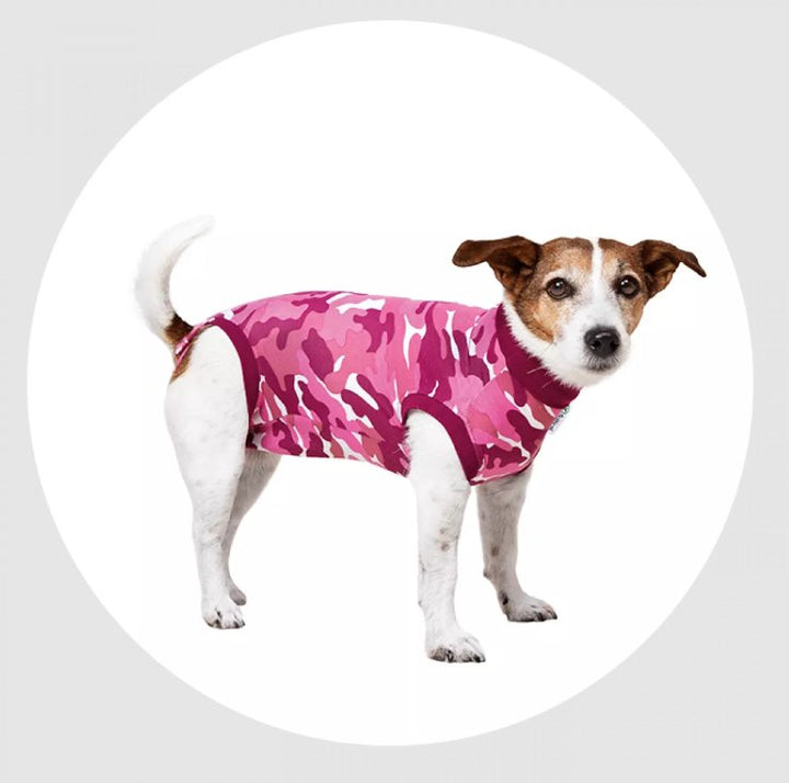 Suitical Recovery Suit - Dog - Pets Essentials