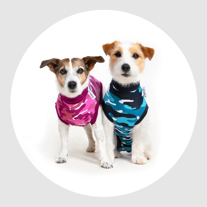 Suitical Recovery Suit - Dog - Pets Essentials