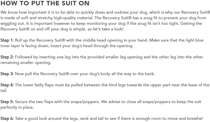 Suitical Recovery Suit - Dog - Pets Essentials