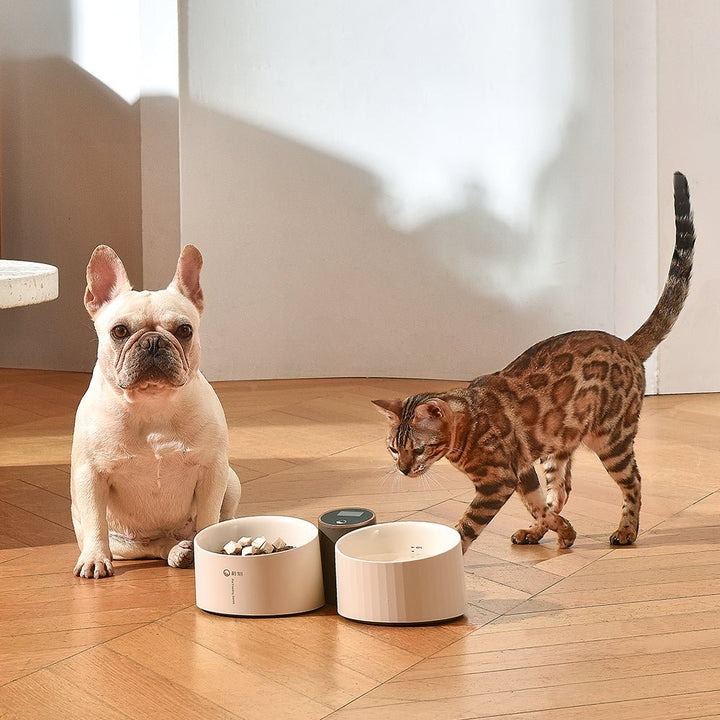 VooCoo Libra Pet Bowl Feeder with Digital Scale - Pets Essentials